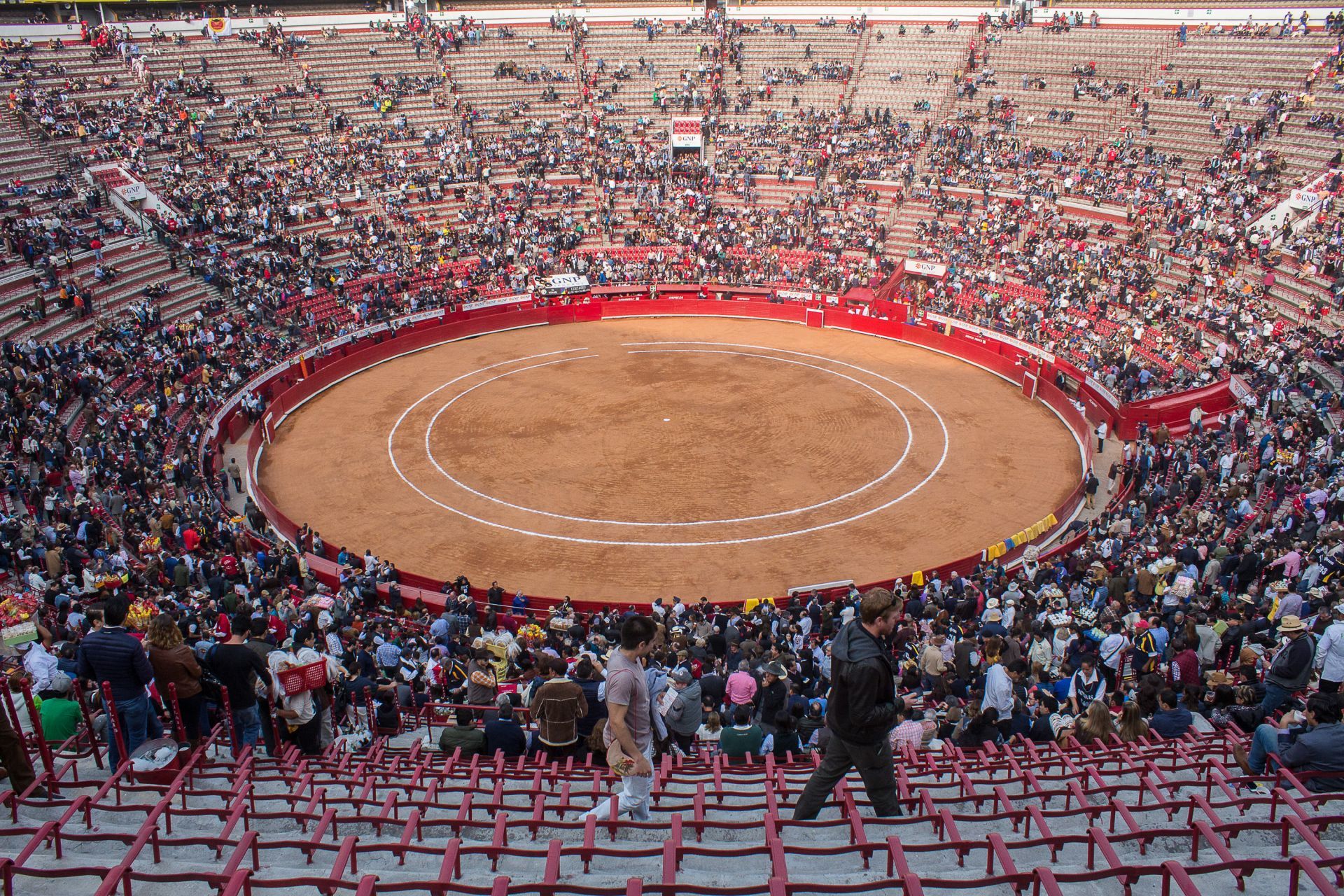 Comisión aprueba prohibir las corridas de toros en CDMX