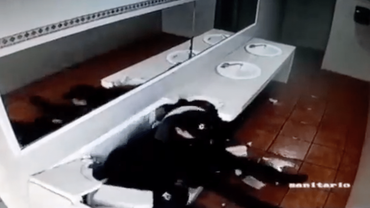 Policías besan baño rompen lavabo video