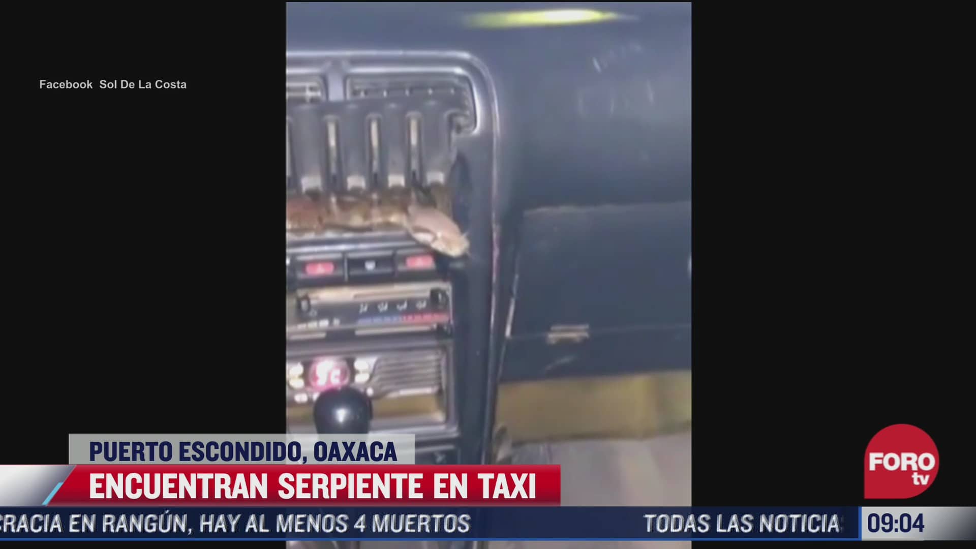 taxista encuentra serpiente al interior de su vehiculo en puerto escondido oaxaca