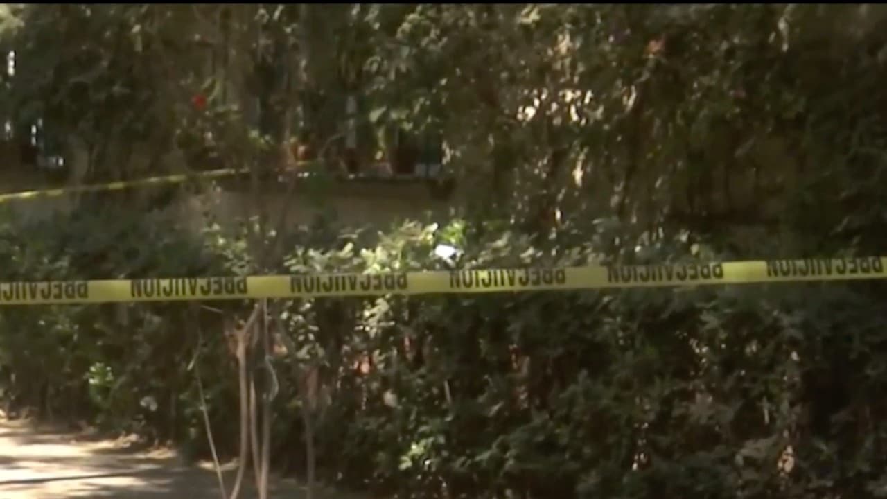 Encuentran restos humanos en parque de la alcaldía Tlalpan (FOROtv)