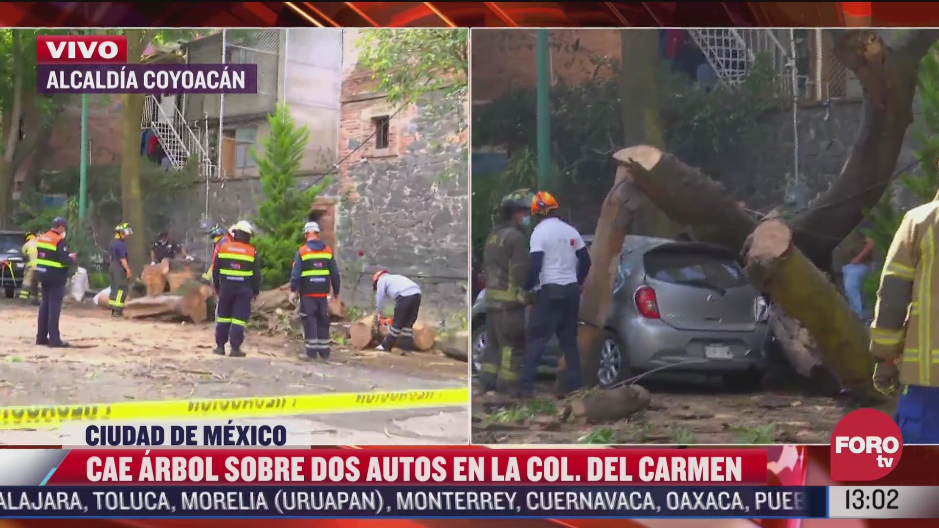 arbol cae sobre dos autos estacionados en coyoacan