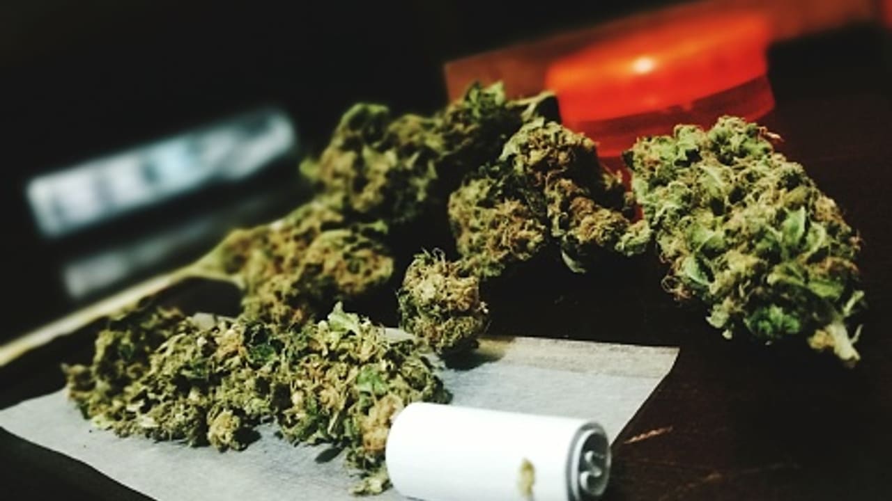 Fotografía que muestra una porción de cannabis que es utilizada para uso medicinal