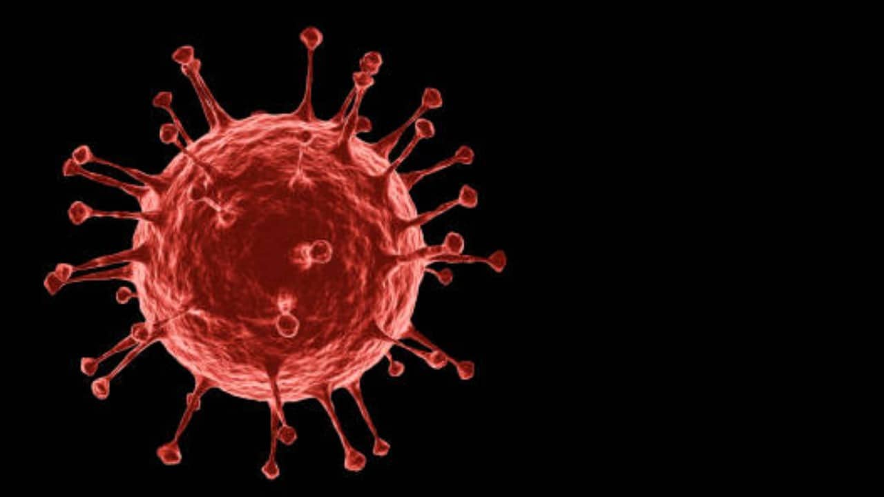 El mundo supera los 300 millones de casos de coronavirus