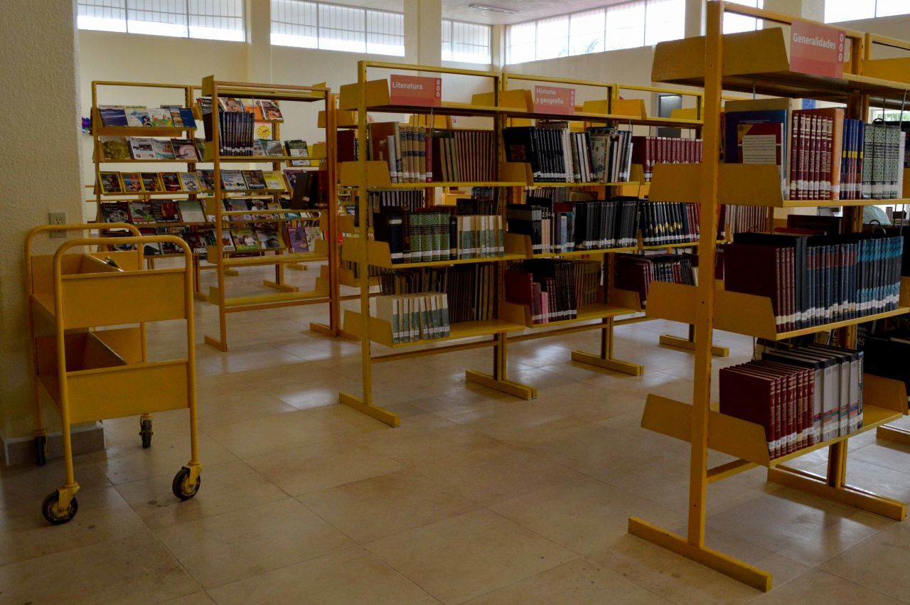 ‘Don Matías’ aprovecha confinamiento de personas en CDMX para limpiar y abrazar los libros en bibliotecas