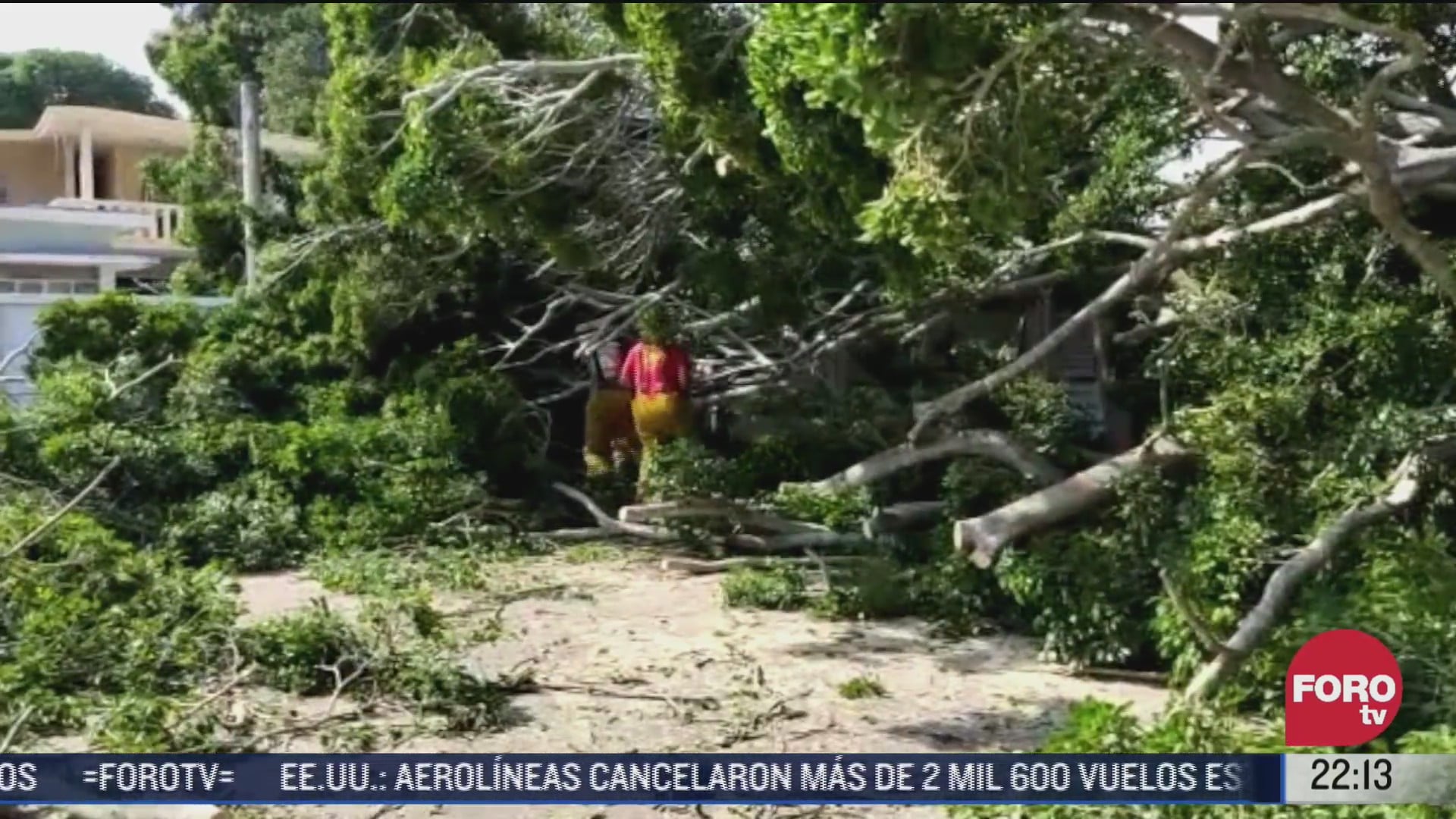 fuertes vientos afectaron la zona sur de tamaulipas