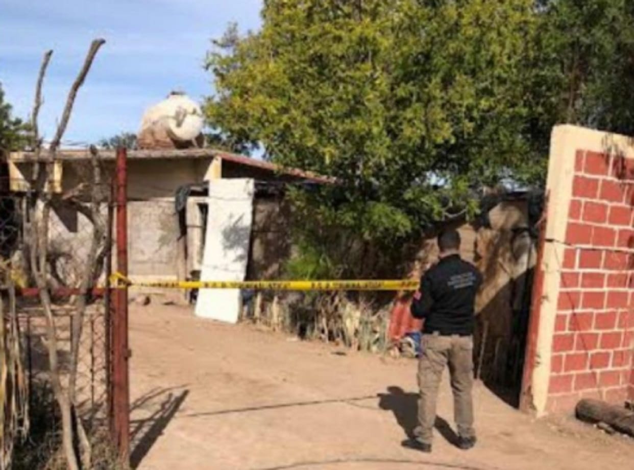 Aseguran narcolaboratorio oculto en un sótano en Sonora