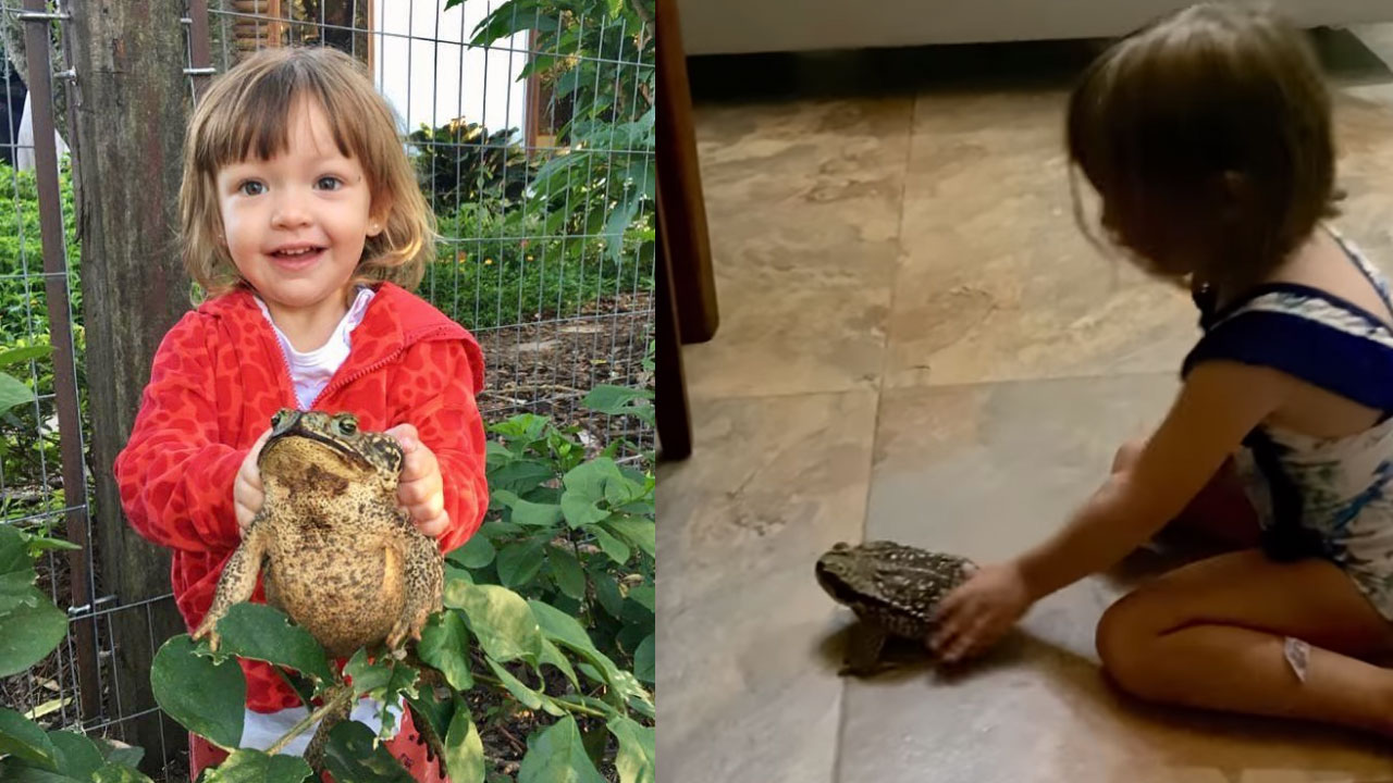 Niña de tres años tiene sapos por mascotas; se volvió viral