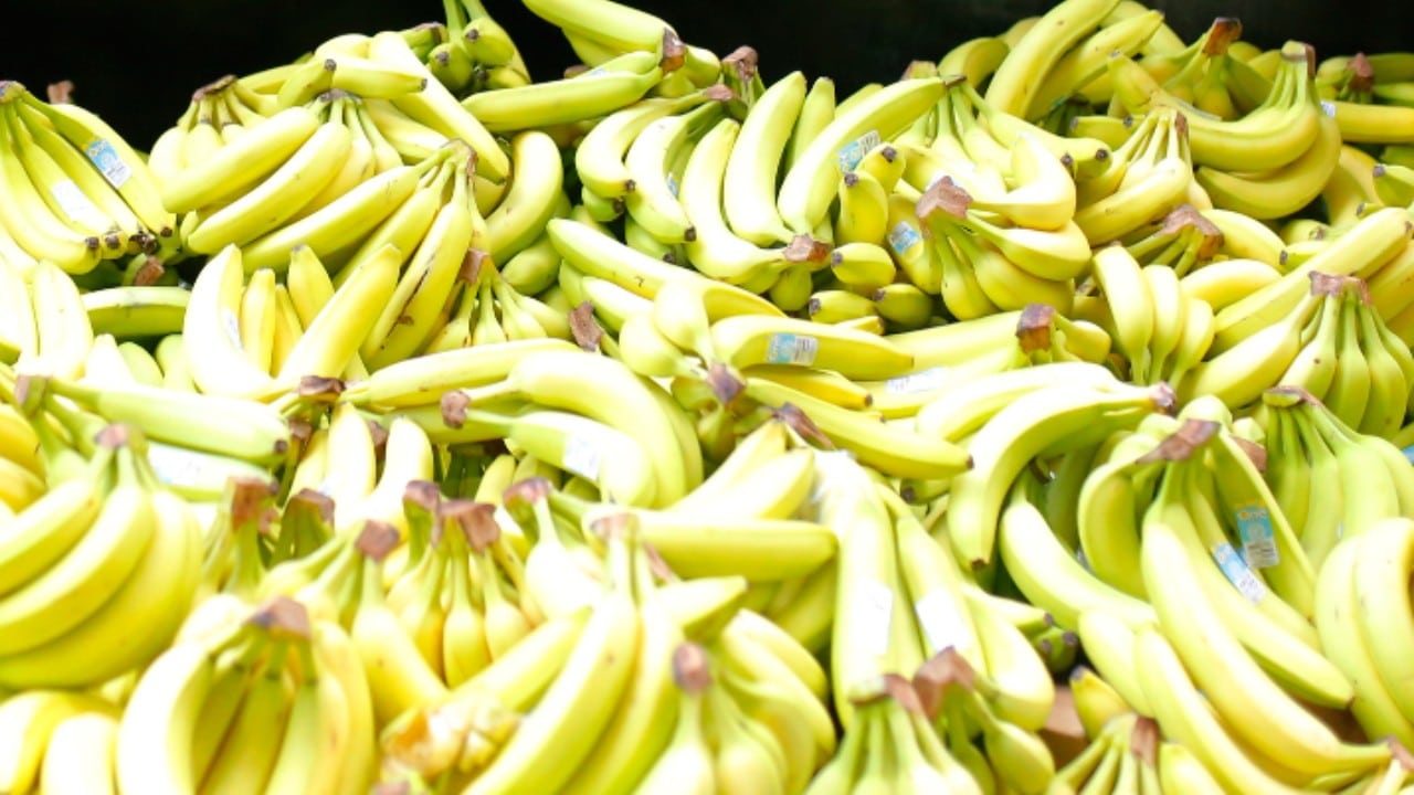 Científicos logran obtener hidrógeno con cáscaras de plátano