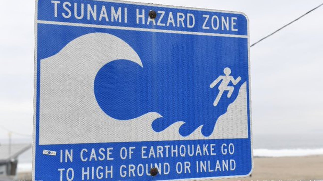 Tsunami provocado por erupción en las islas Tonga llega a Japón.