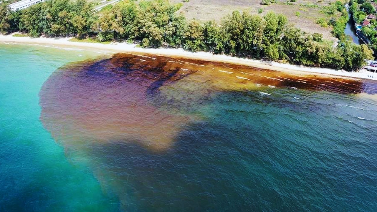 Vertido de petróleo amenaza con matar corales en la isla turística de Samet en Tailandia