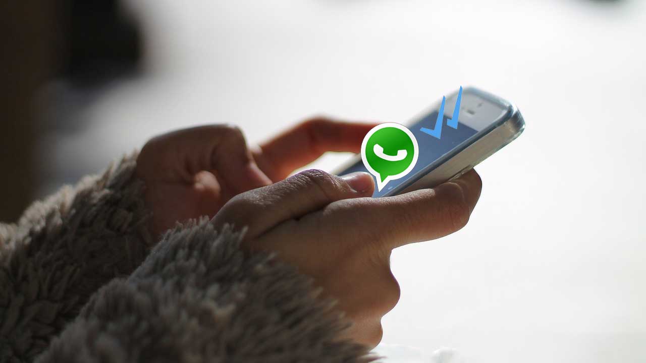WhatsApp: Descubre si desactivaron la palomita azul