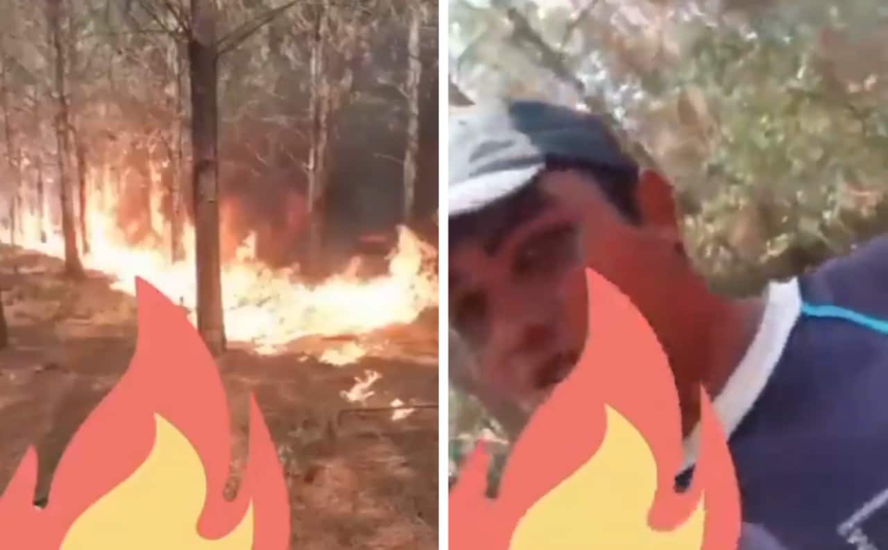 Argentina: Joven graba cómo prende fuego a un bosque: Video