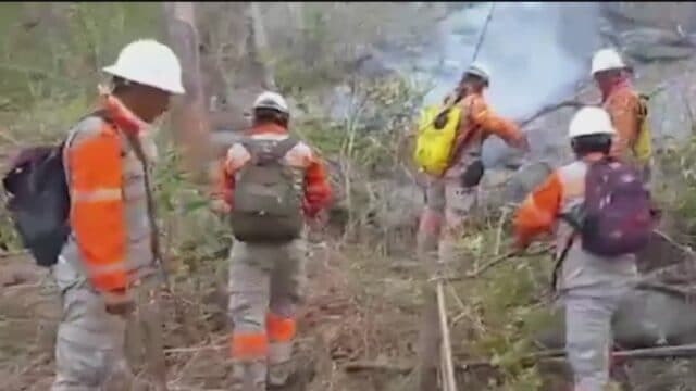 300 brigadistas combaten incendios forestales en chiapas