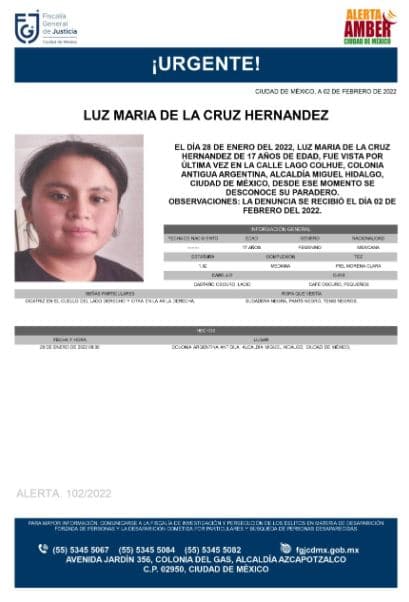Activan Alerta Amber para localizar a Luz María de la Cruz Hernández