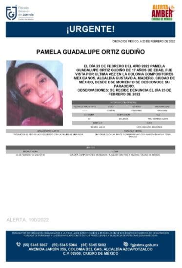 Activan Alerta Amber para localizar a Pamela Guadalupe Ortiz Gudiño