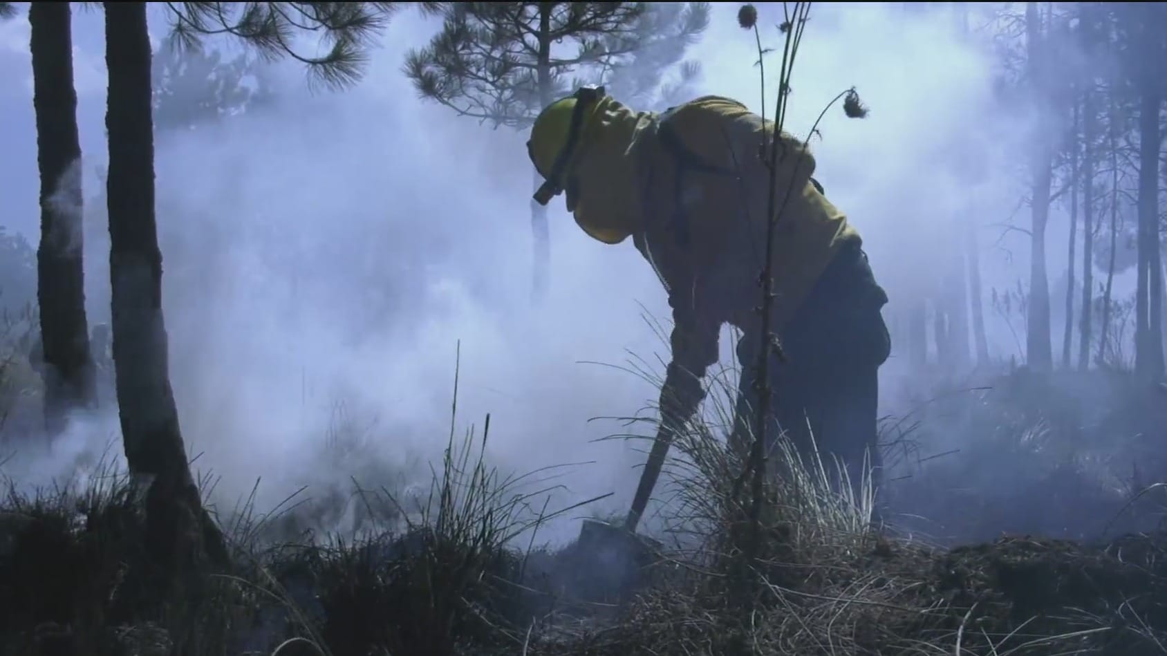 brigadistas se alistan para combatir incendios forestales en mexico