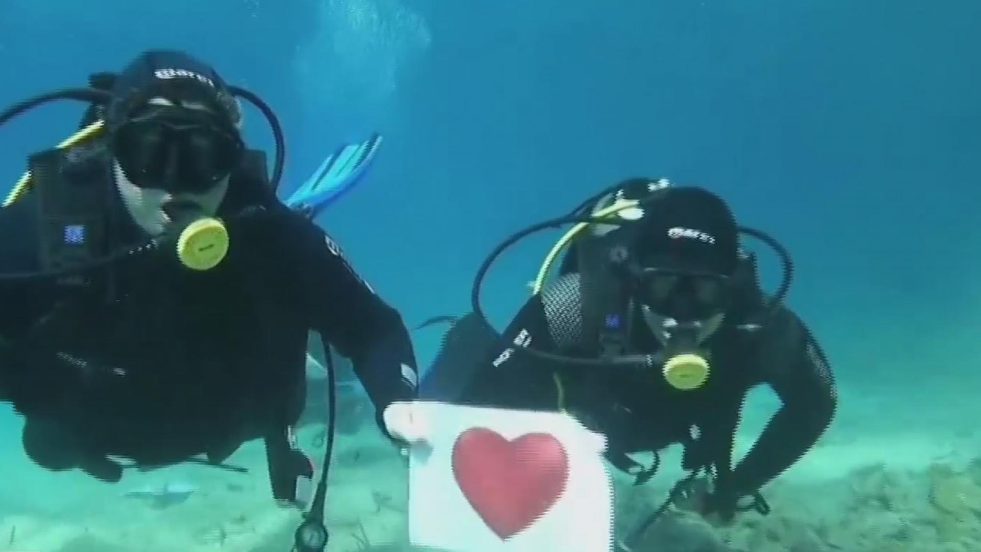 buzos celebran el dia del amor y la amistad bajo el agua