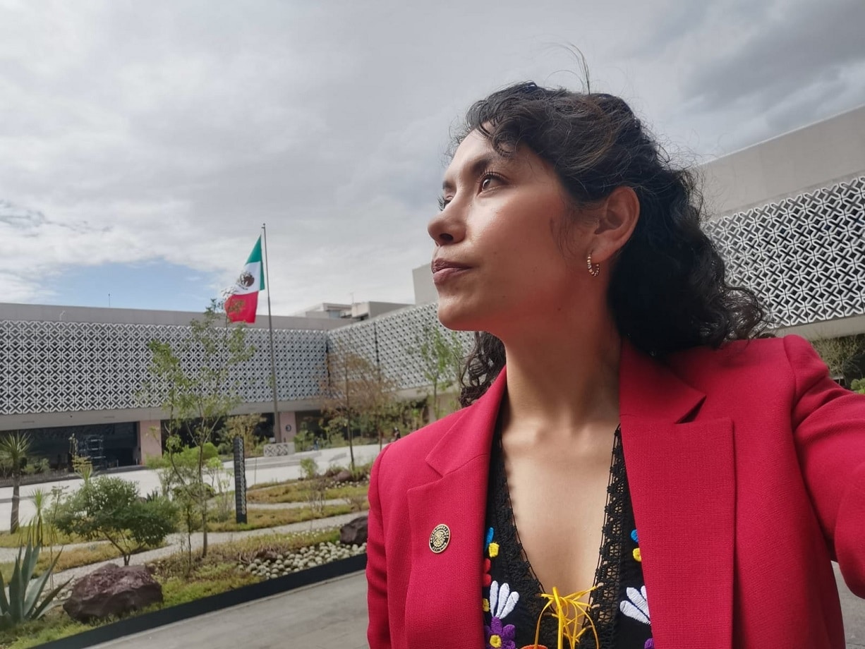 Muere Celeste Sánchez Romero, diputada federal del PT