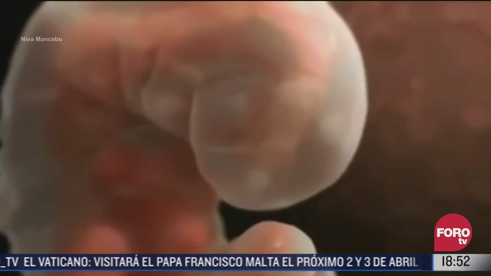 crean utero artificial en china