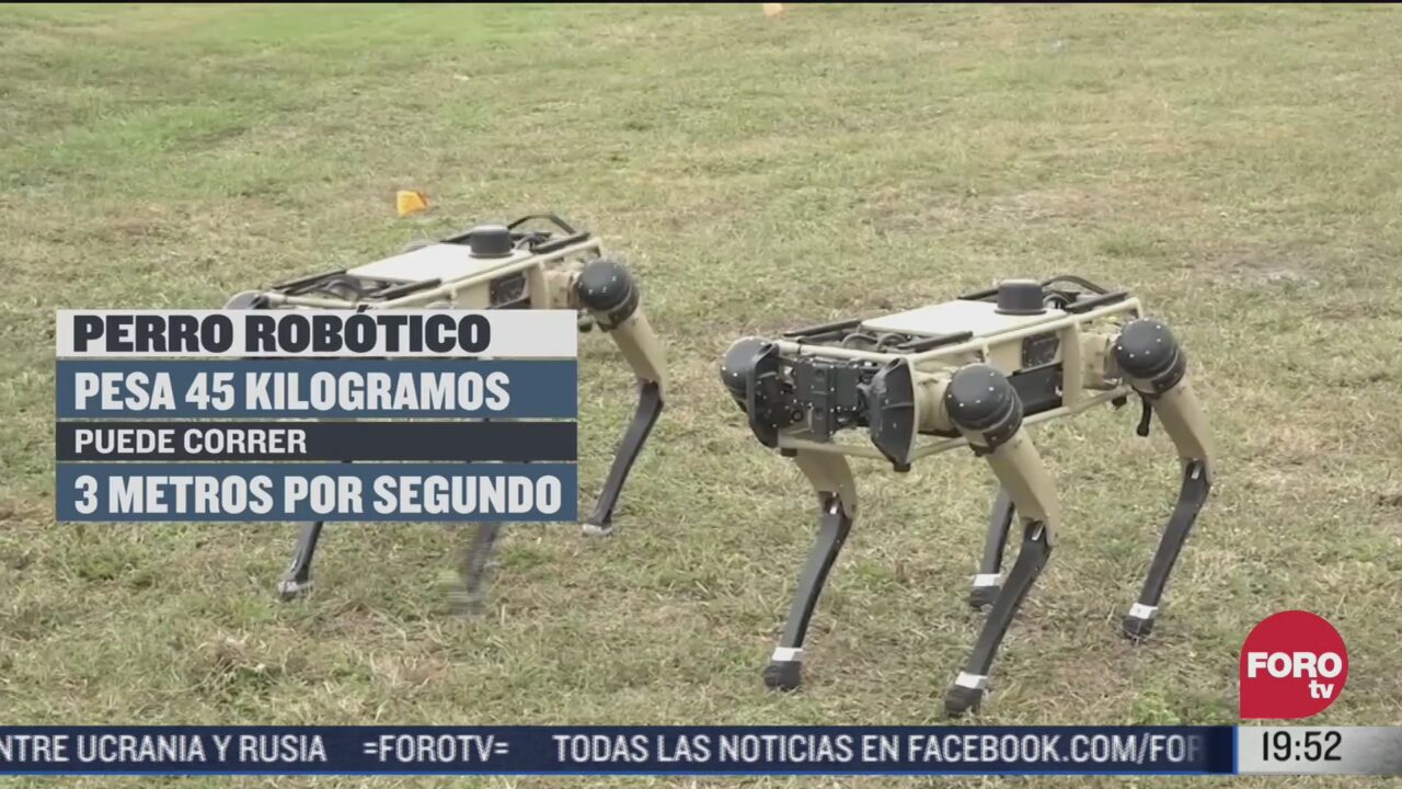 eeuu usara perros robots en frontera con mexico