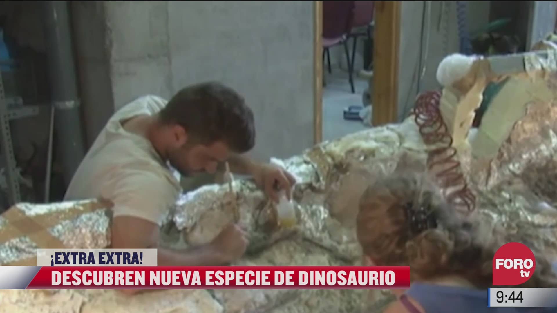 extra extra descubren nueva especie de dinosaurio en los pirineos