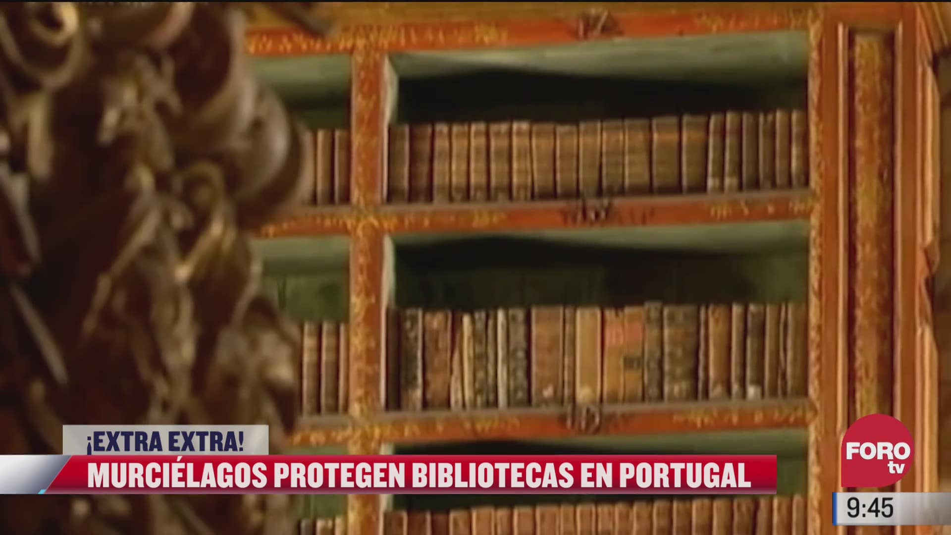 extra extra murcielagos custodian biblioteca de portugal