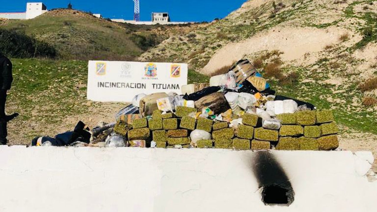 FGR incinera más de 7 toneladas de narcóticos en Tijuana, Baja California