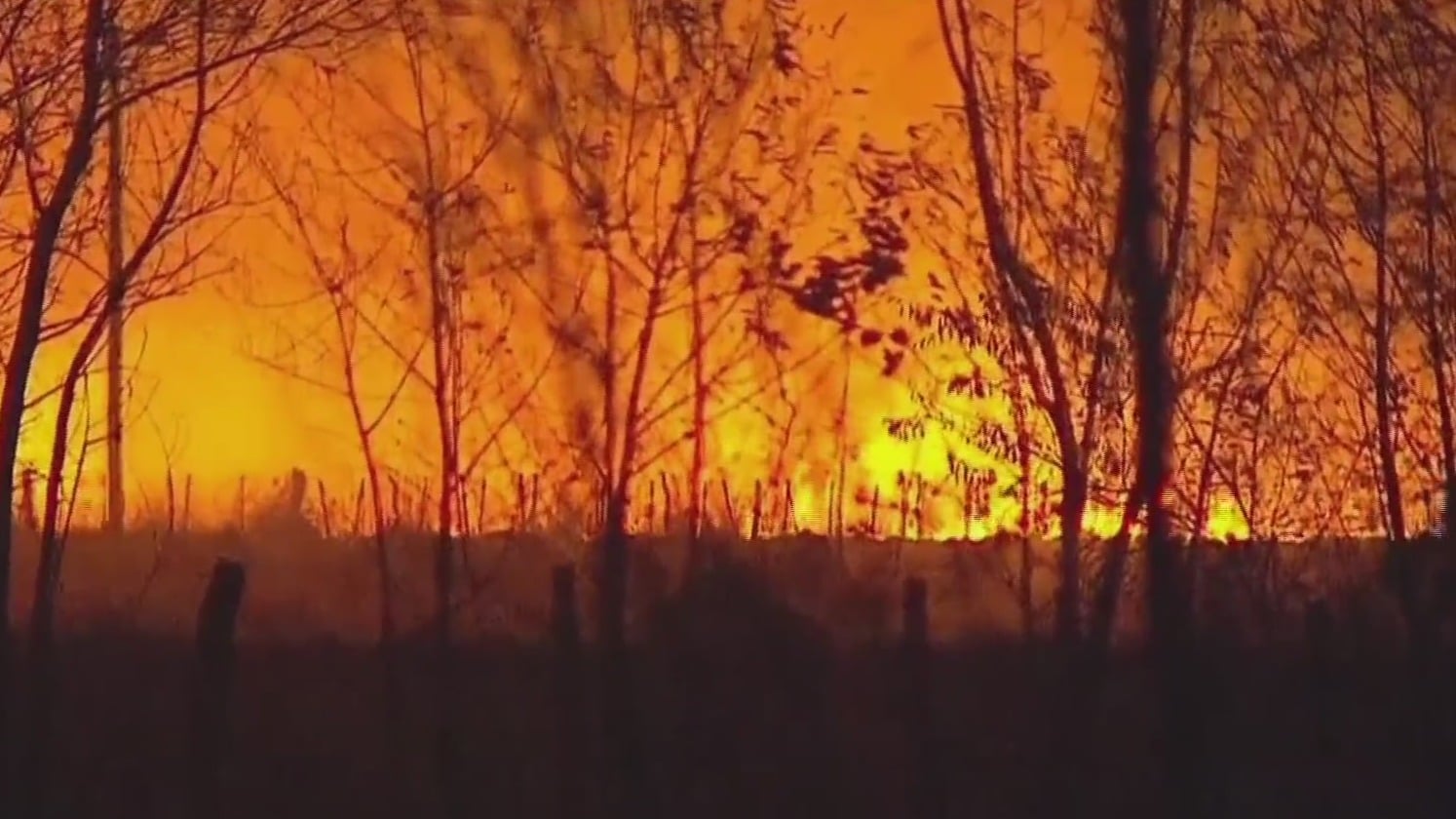 incendios forestales arrasan con miles de hectareas en argentina