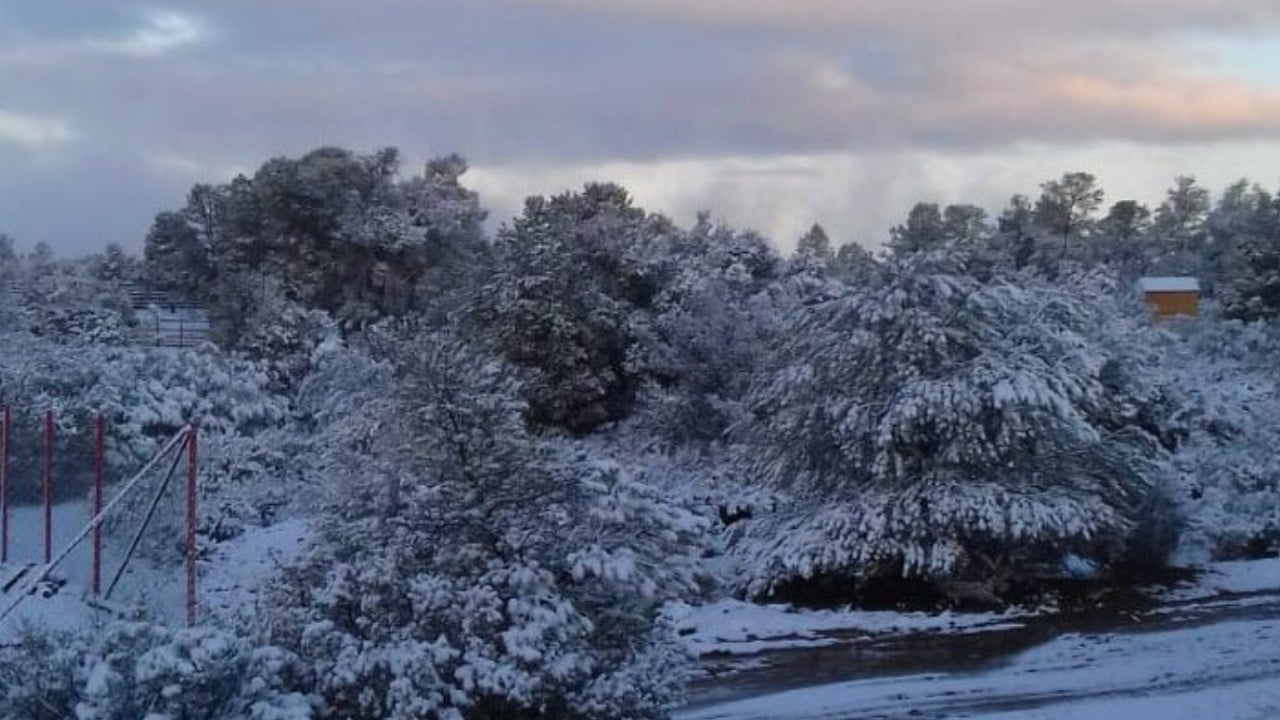 Paisajes hermosos deja la primera nevada del año en La Rumorosa, BC