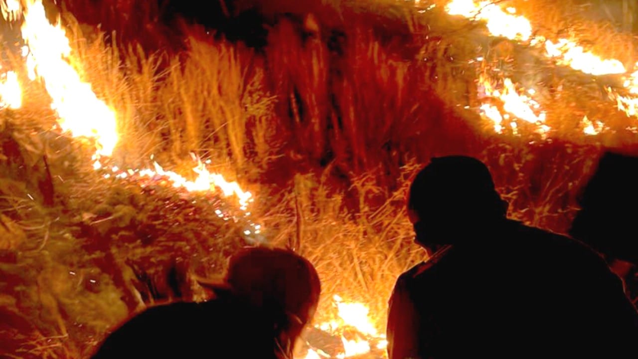 Se registra fuerte incendio en inmediaciones de la zona arqueológica de Monte Albán, en Oaxaca