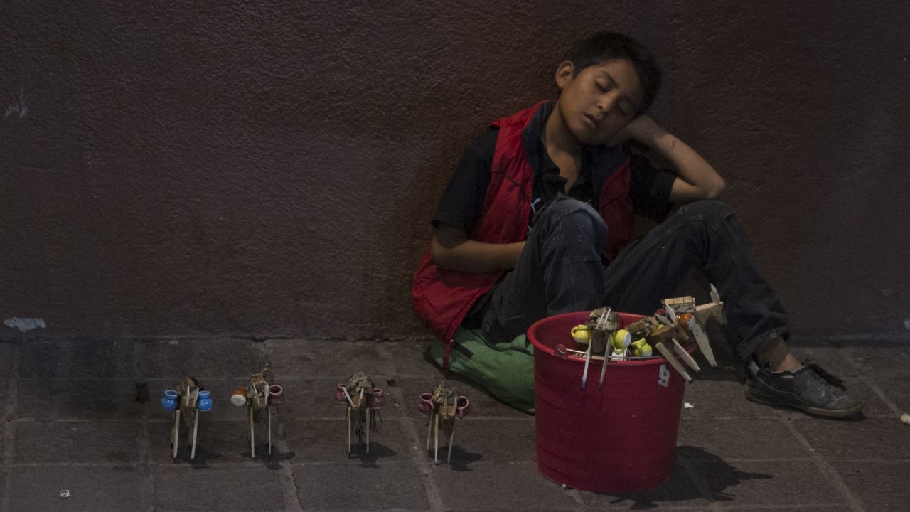 Un niño duerme mientras está vendiendo burritos de madera en el centro de Guanajuato.