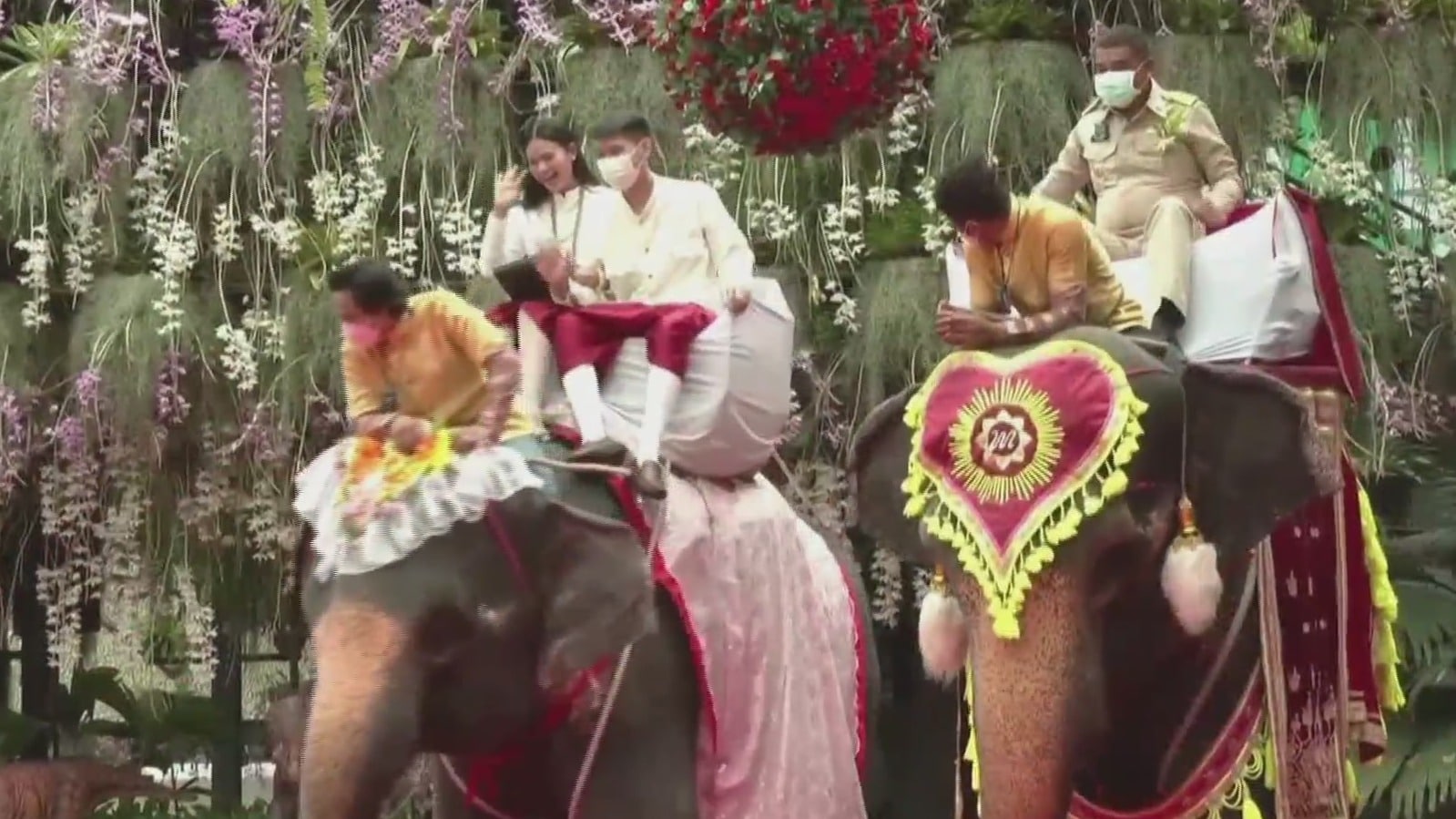 parejas se casan montadas en elefantes en tailandia