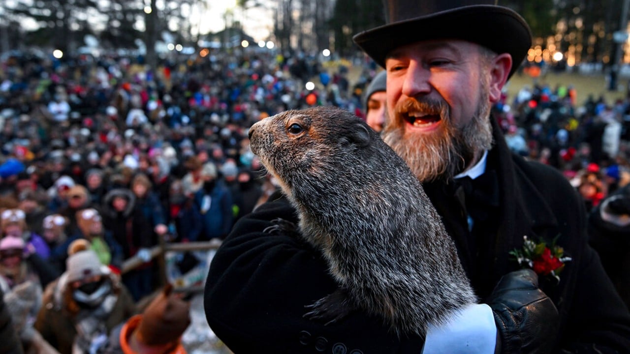 Phil, la marmota 'meteorólogo' más famosa del mundo