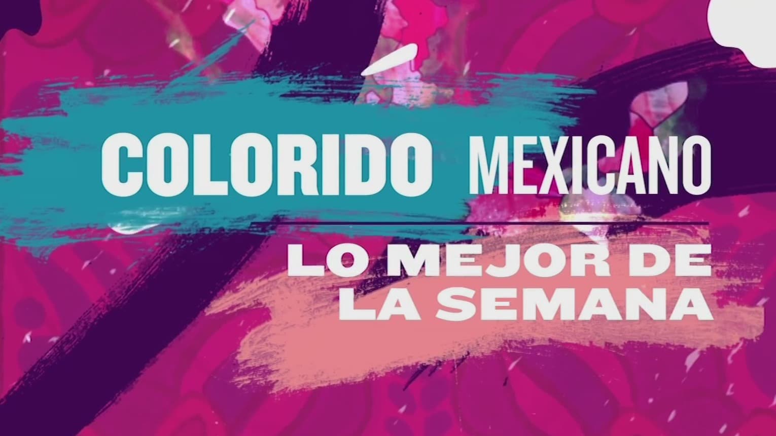 resumen semanal del colorido por la republica mexicana 21 de febrero del