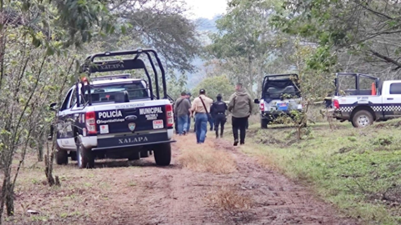 Autoridades de Veracruz investigan el hallazgo de tres cuerpos sin vida (Twitter: vivecoatza)