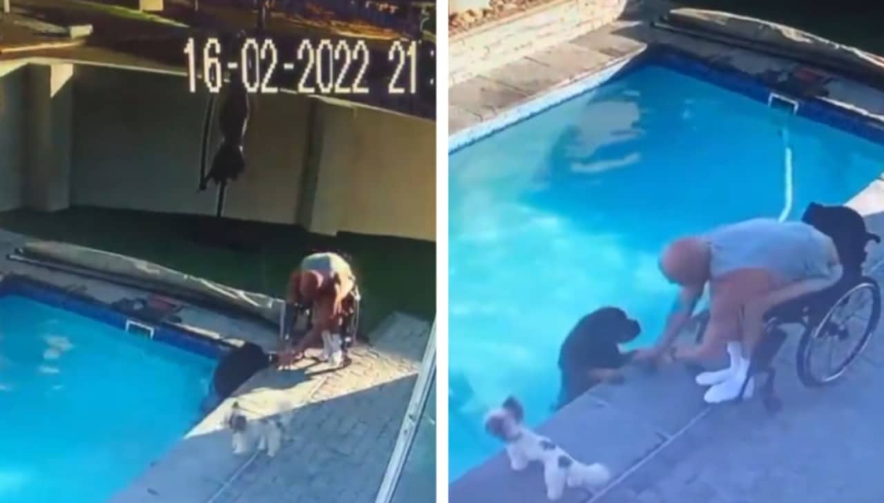 Hombre en silla de ruedas salvó a perro de ahogarse: Video
