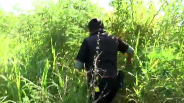 asi son los operativos de busqueda de joven desaparecido en yucatan