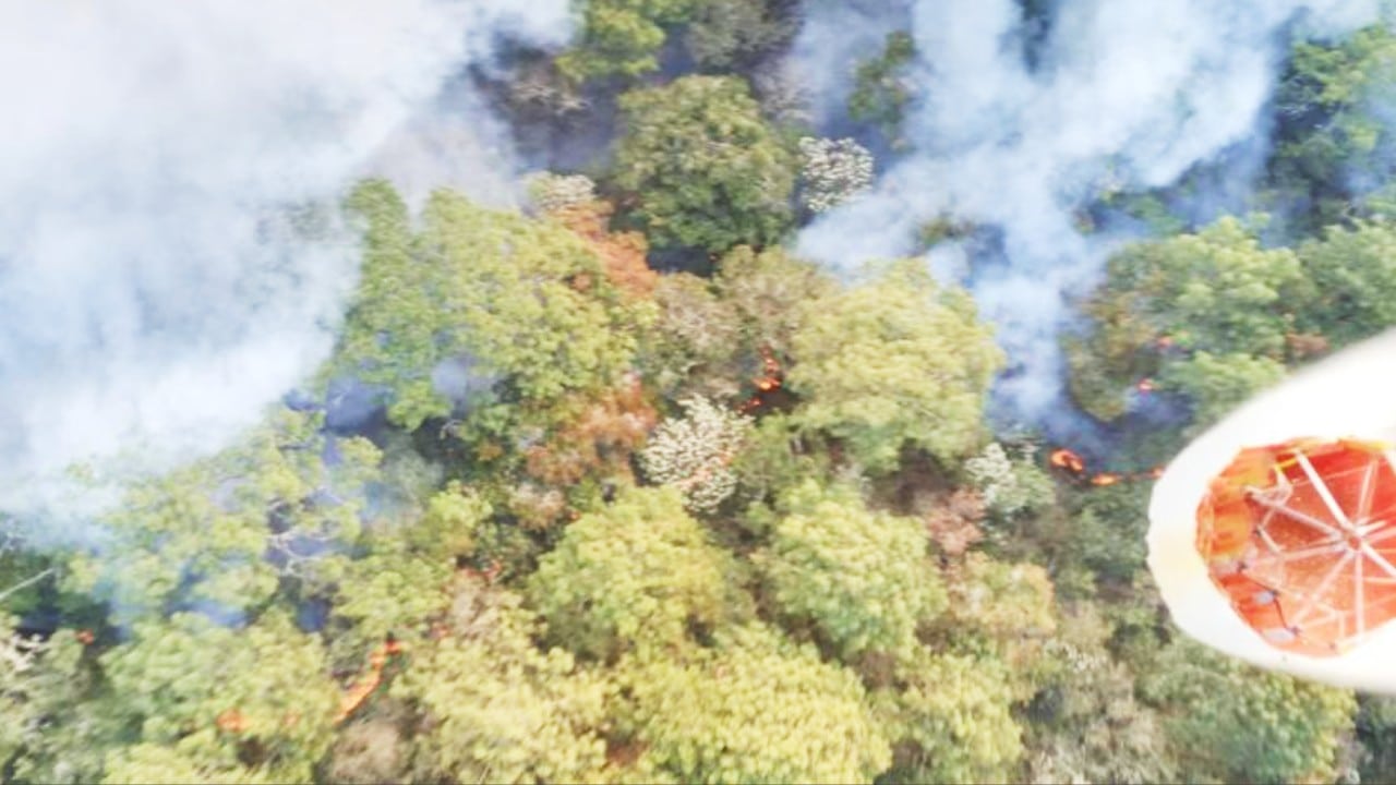 Incendio en la biosfera El Cielo, en Tamaulipas, consume 730 hectáreas