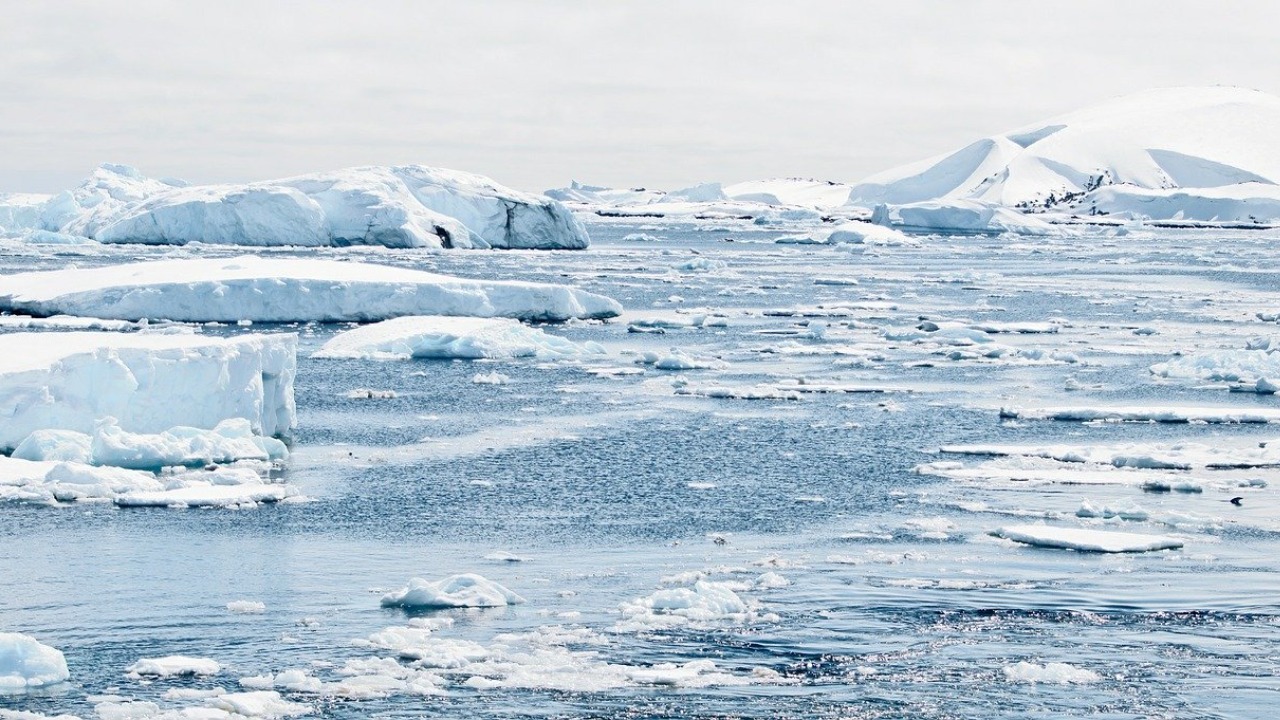 Cambio climático provoca crecimiento de plantas más rápido en la Antártida