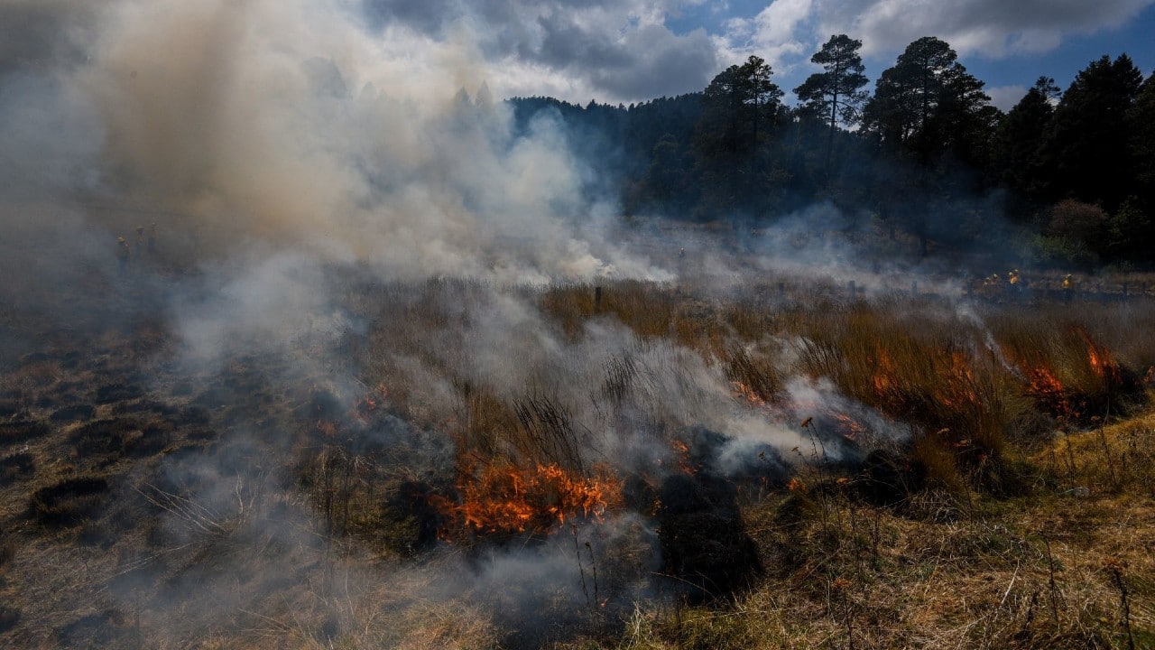 Chiapas, el estado más afectado por incendios forestales en el 2022