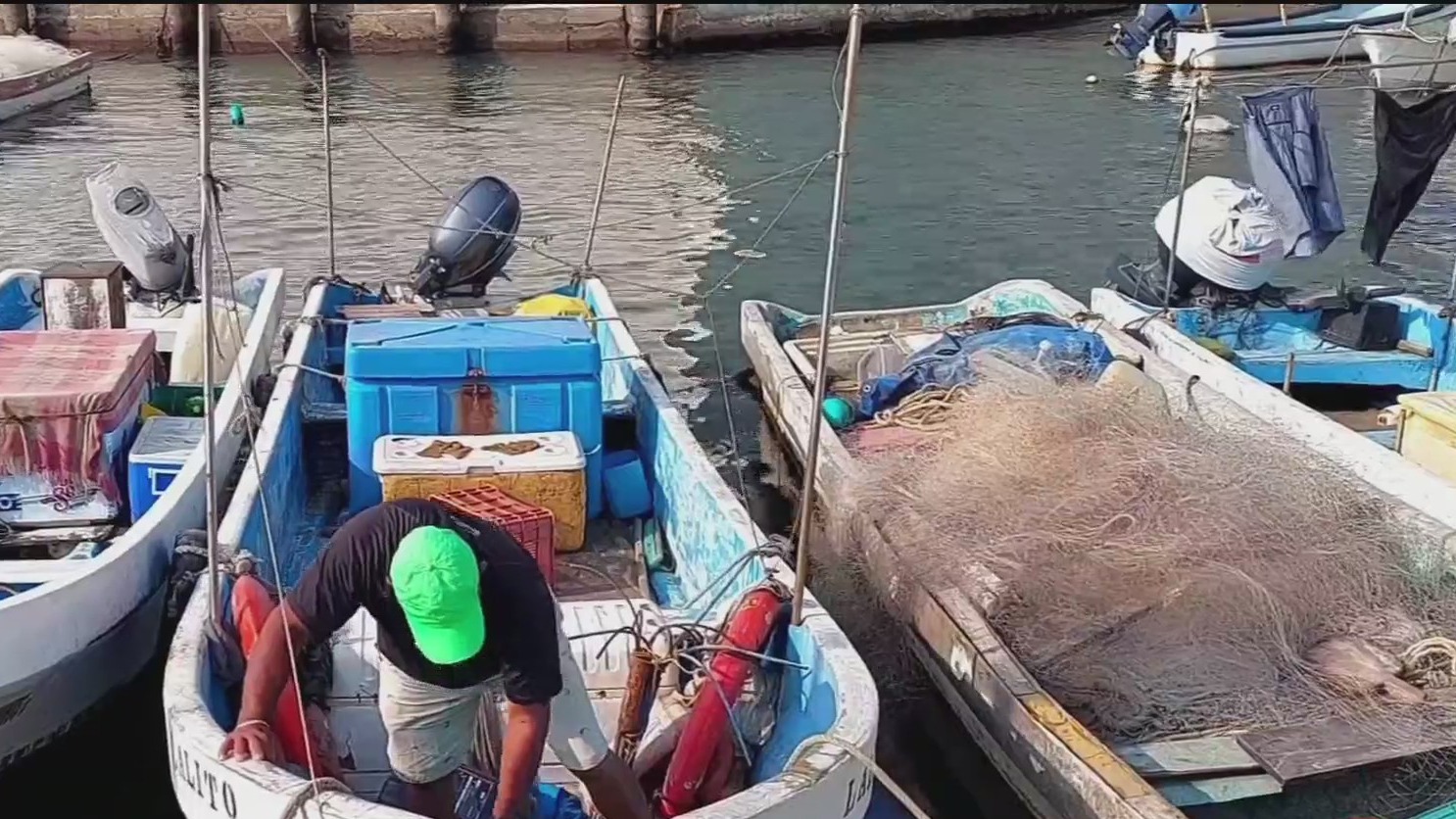 cuaresma beneficia a comerciantes de pescados y mariscos en veracruz