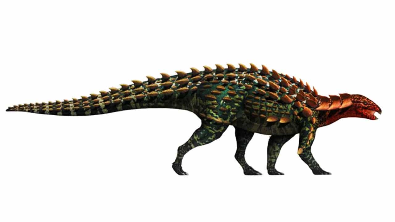 China halla un nuevo tipo de dinosaurio con armadura que vivió hace 190 millones de años