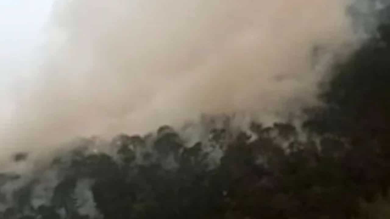 Incendio en la Reserva de la Biosfera El Cielo (Instagram: mitrincheravietnamita)