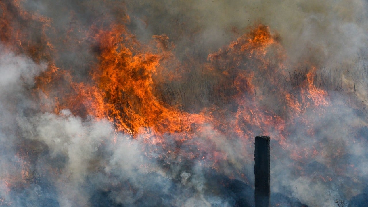 Guerrero se ubica como uno de los estados con mayor incidencia en incendios forestales.