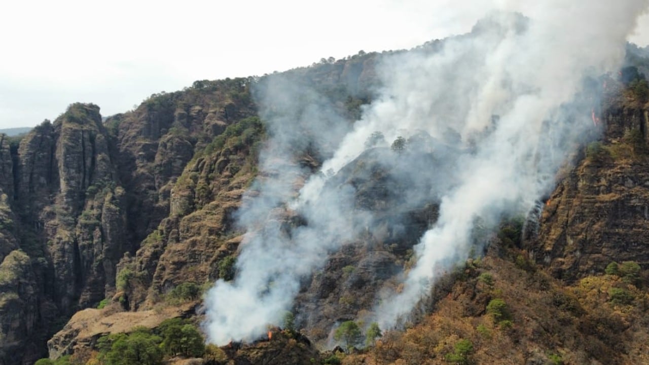 Combate de incendio forestal en Tepoztlán, Morelos (Twitter: @CEECA_Morelos)