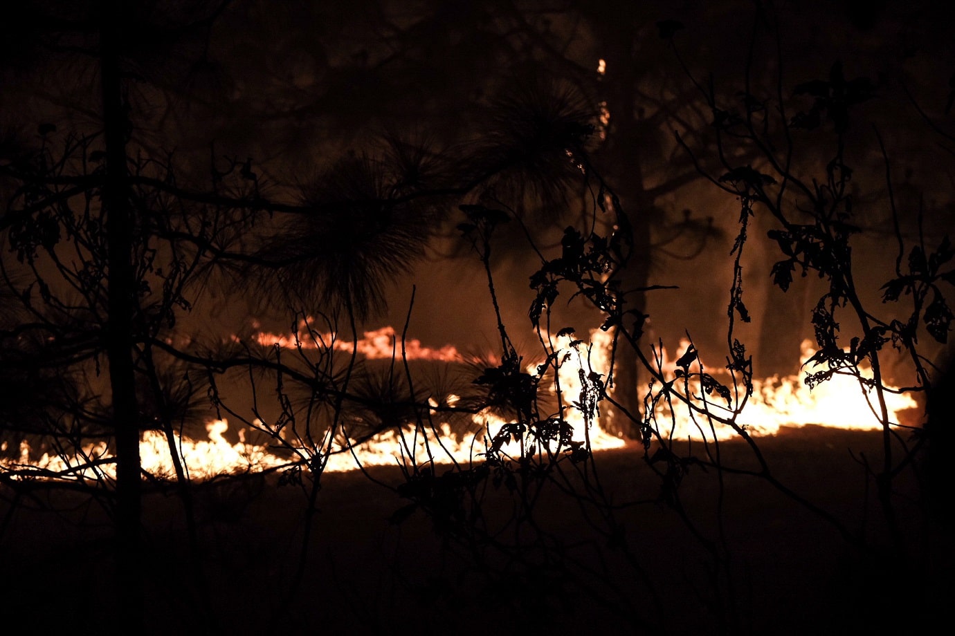 Investigan incendio en Bosque de La Primavera