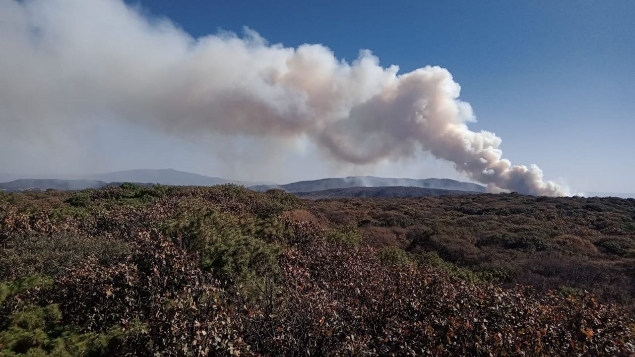 Incendio consume parte del Bosque de la Primavera, en Jalisco