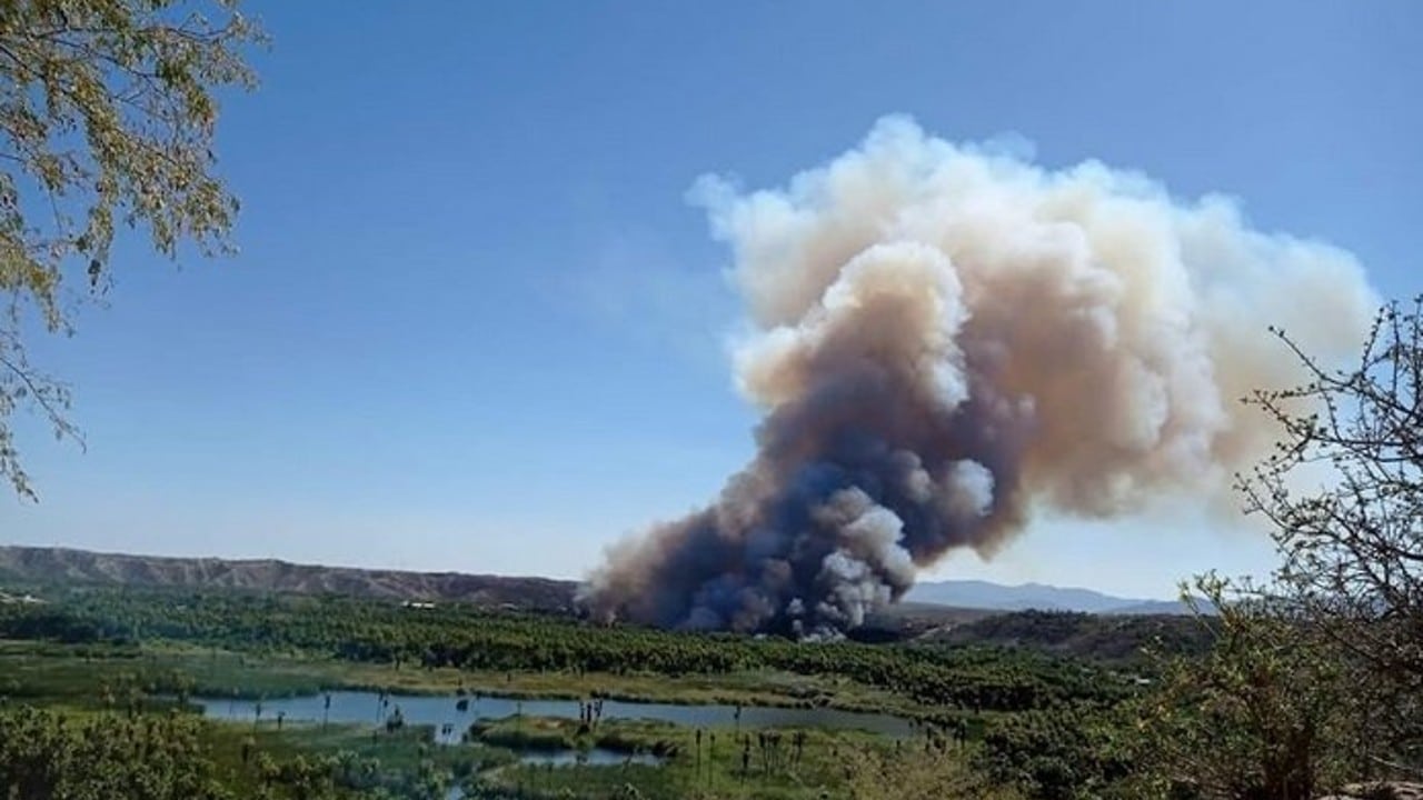 Incendio consume zona de palmares en Los Cabos, Baja California Sur