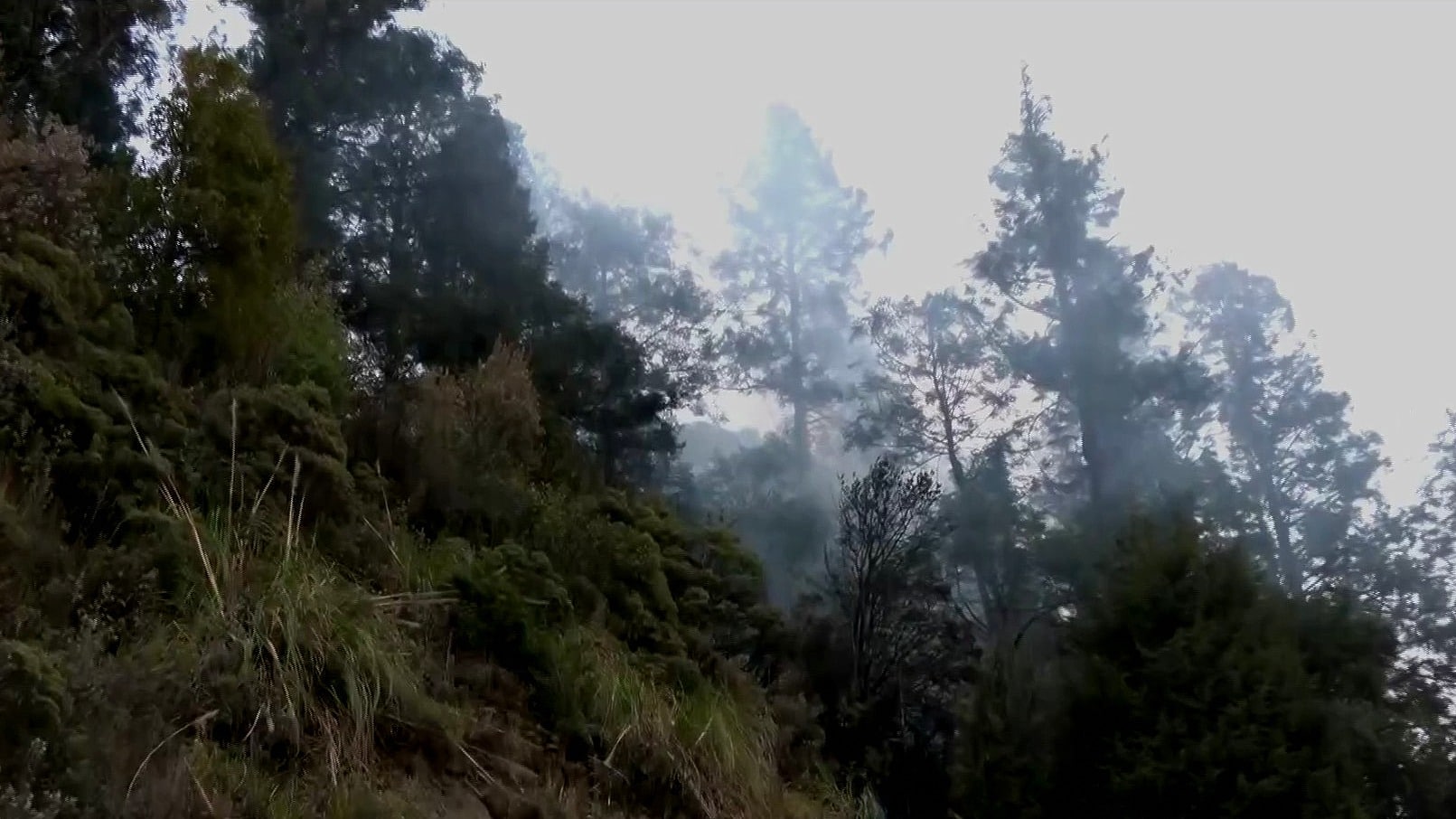 incendio forestal provoca caos vial en la mexico toluca