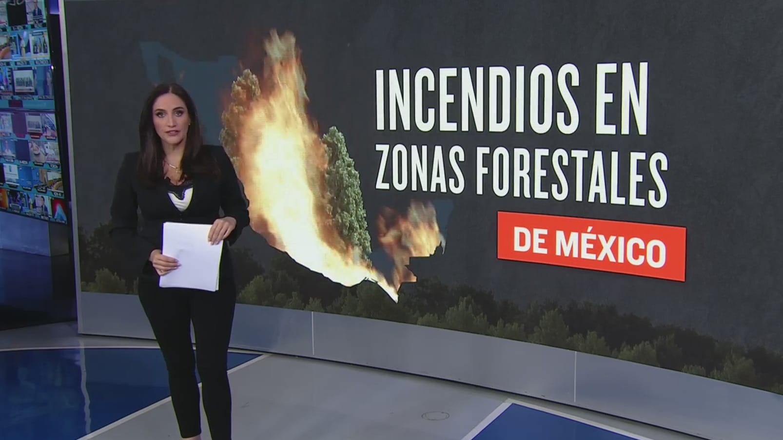 incendios forestales afectan varias zonas en mexico